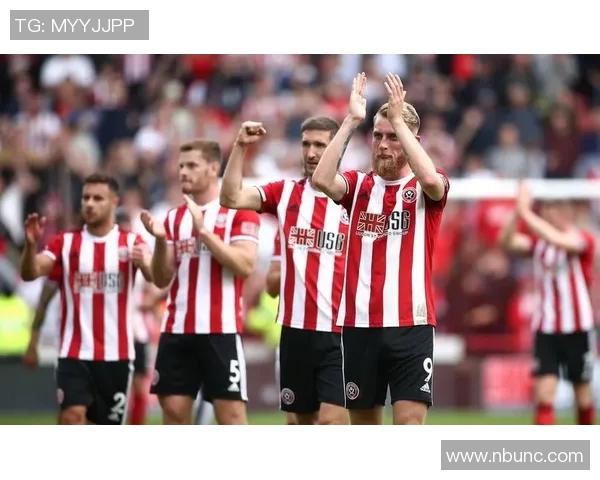 英冠球队阵容深度解析与战术布局探讨