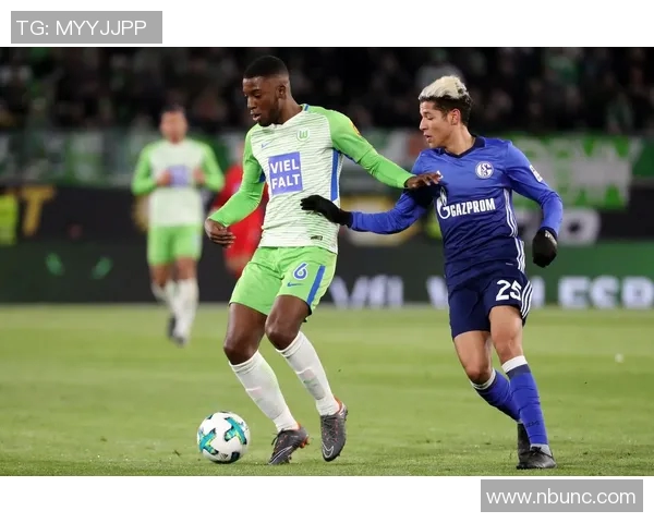 沙尔克主场失利,遭遇沃尔夫斯堡逆袭 沙尔克主场失利,遭遇沃尔夫斯堡逆袭